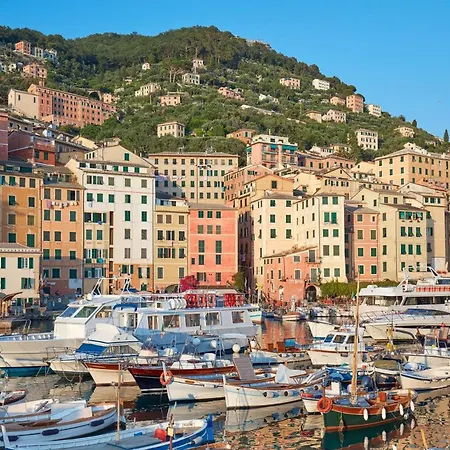 Castles's House 아파트